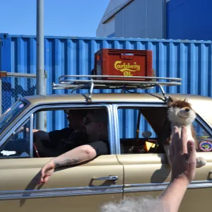 Bilder 2026 — Classic Car Cruise Parade